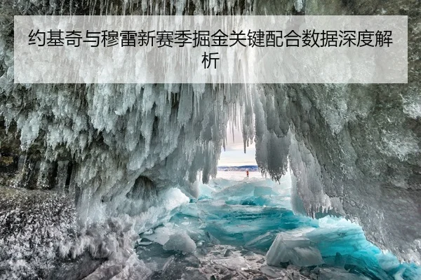 约基奇与穆雷新赛季掘金关键配合数据深度解析